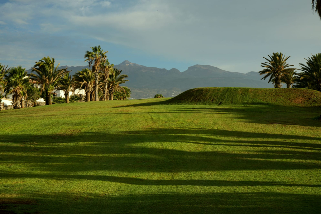 Amarilla Golf