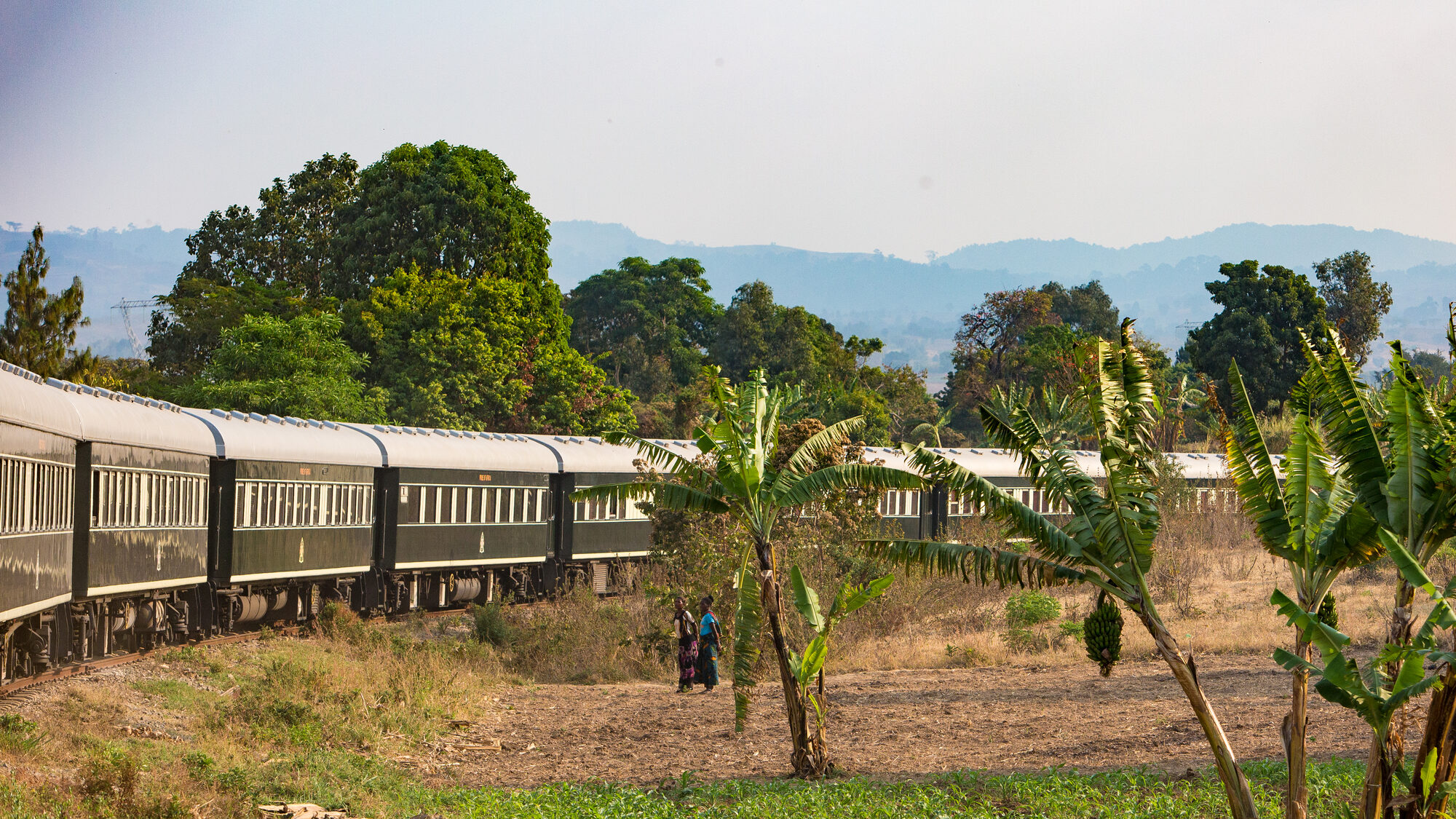 Unique journeys by Longevity Travel