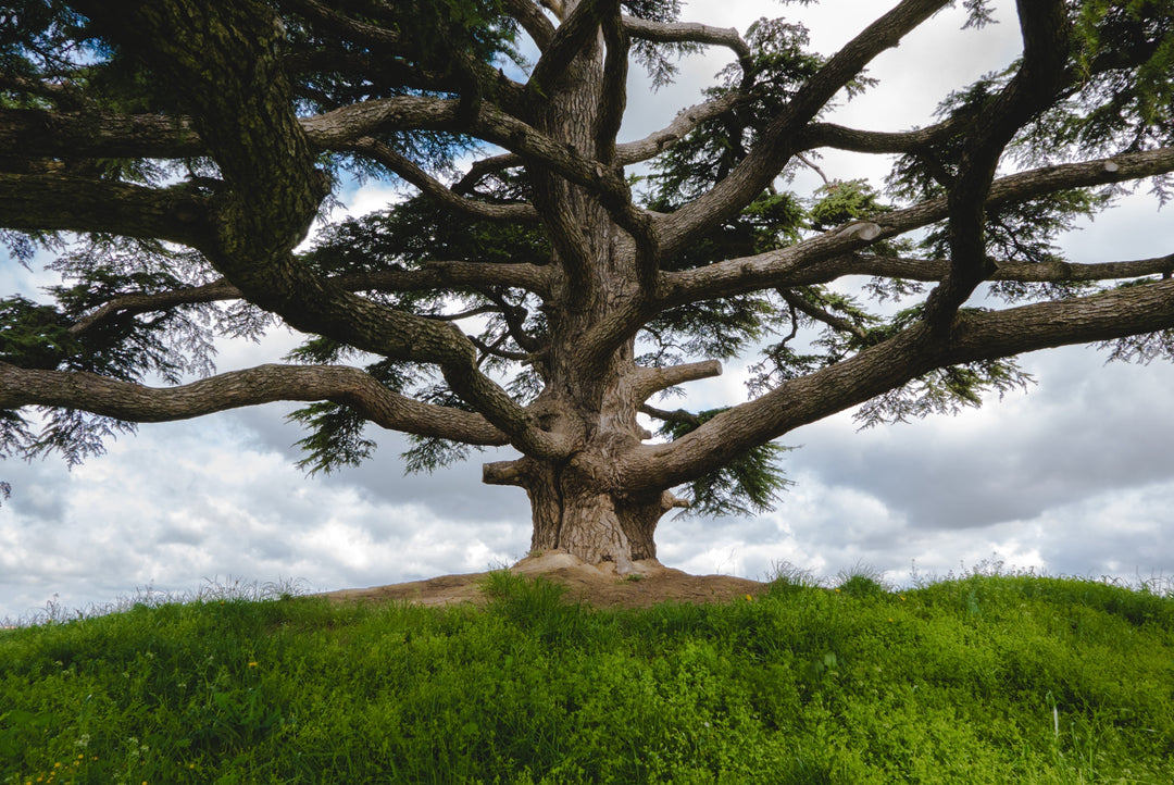 Introduction to Longevity Travel: Why Living Better Matters - Longevity Travel