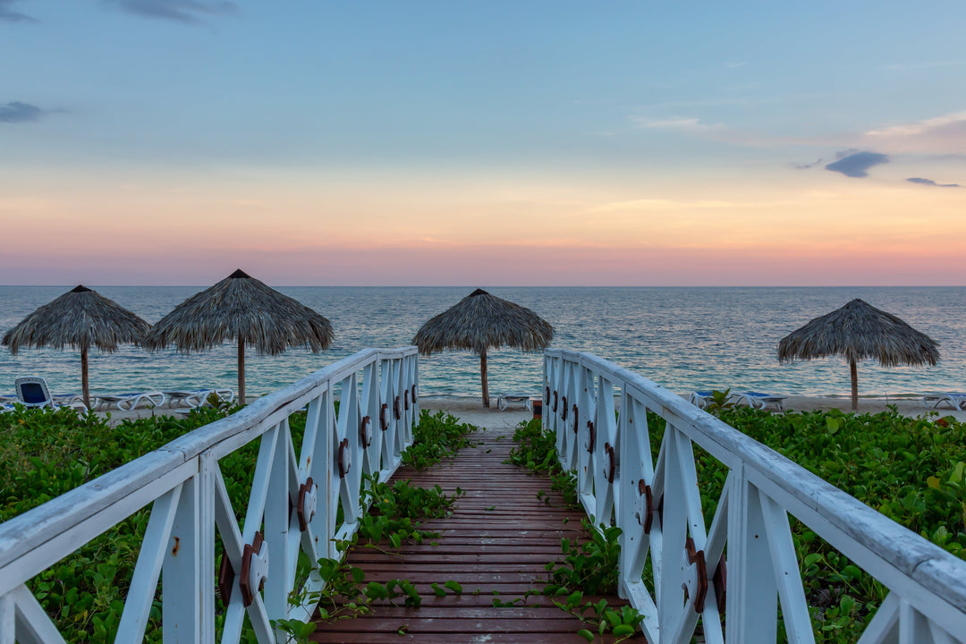 Rediscovering Vitality: How Wellness Retreats	Rewire Your Healthspan - Longevity Travel