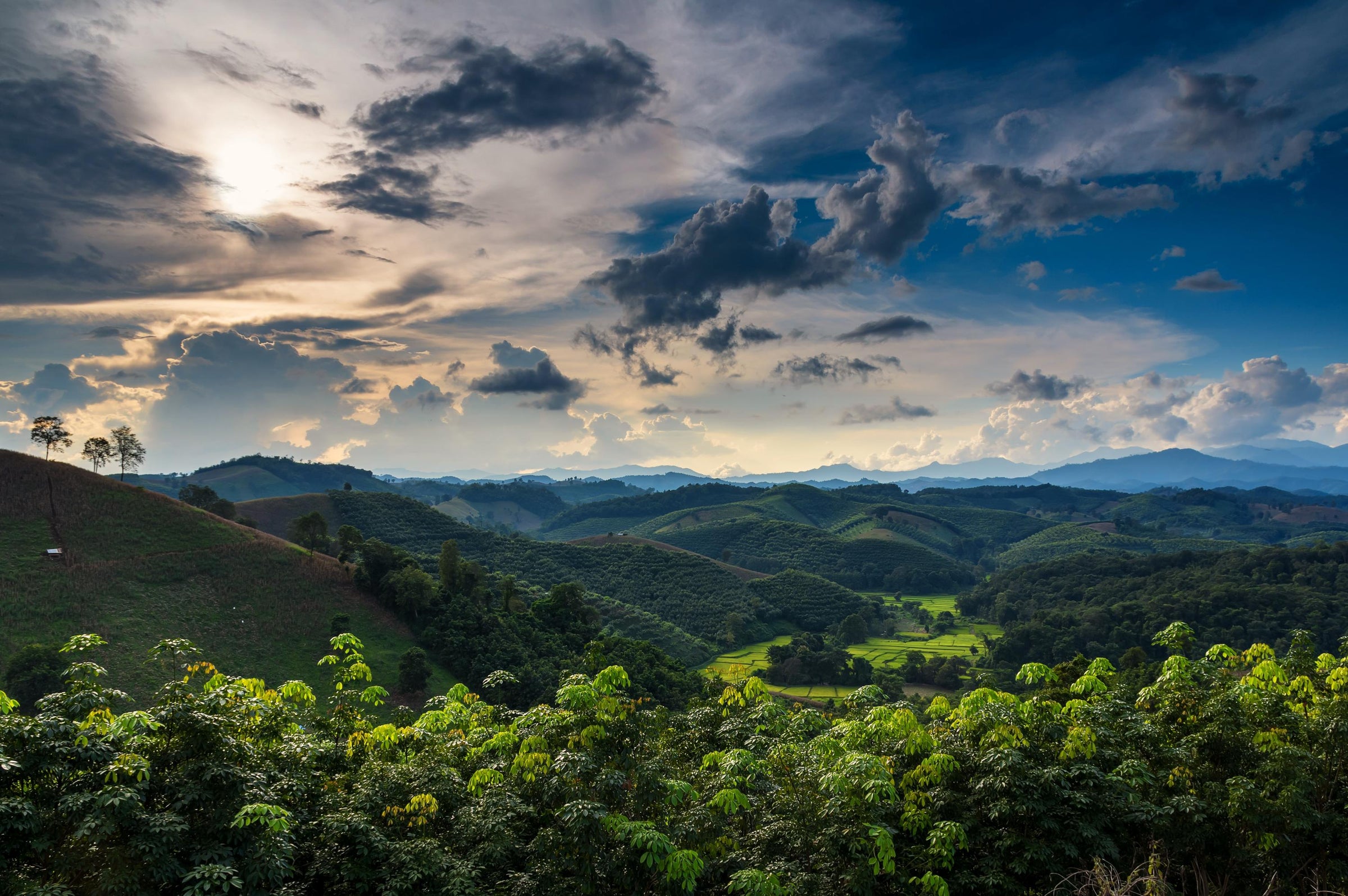 Asia - Longevity Travel