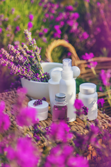 Beauty & Antiaging