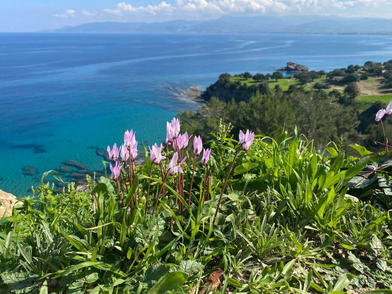 Cyprus