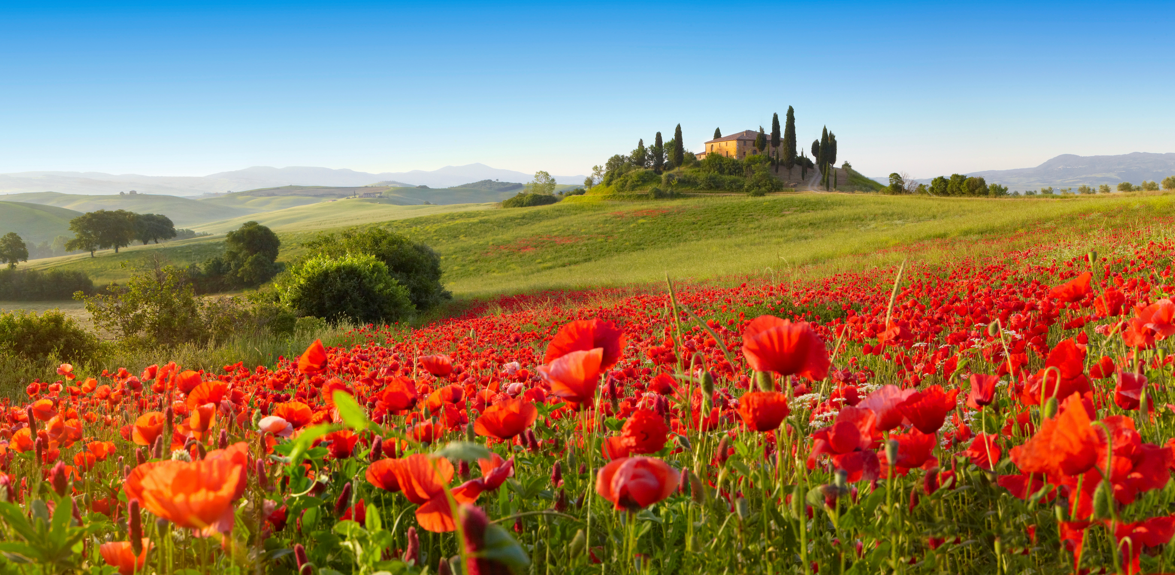 Europe - Longevity Travel
