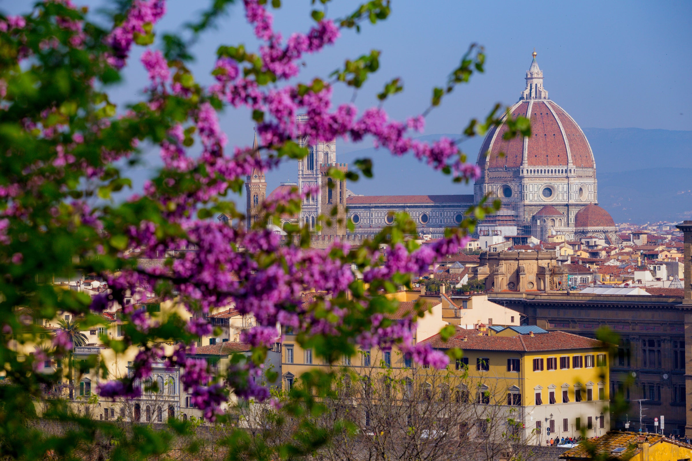 Italy - Longevity Travel