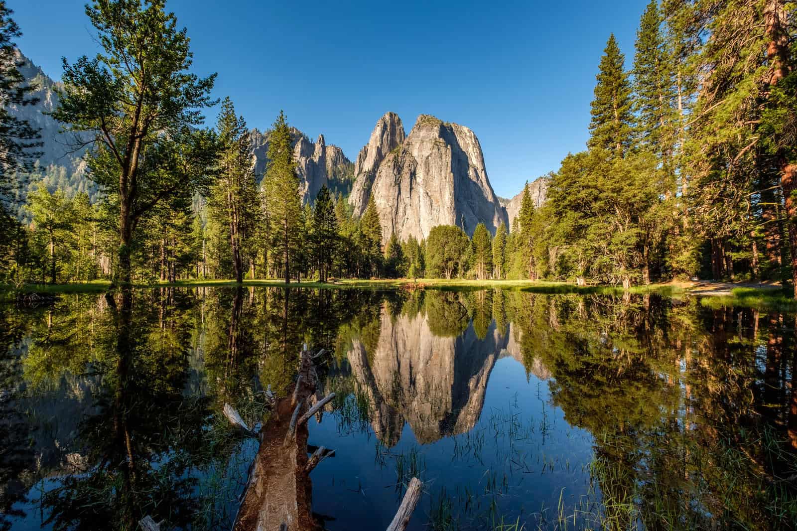 North America - Longevity Travel