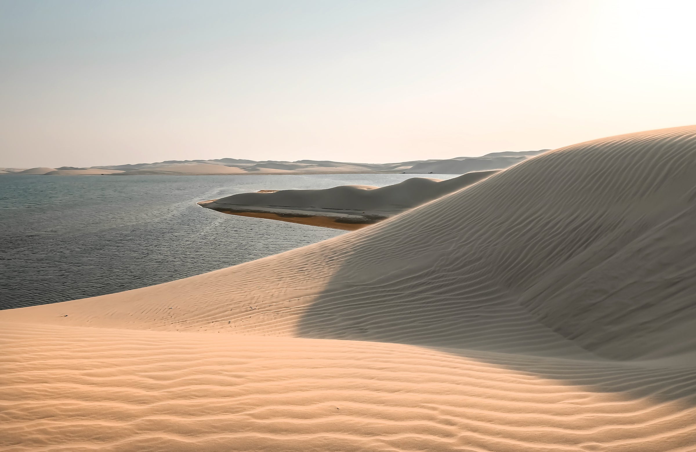 Qatar - Longevity Travel