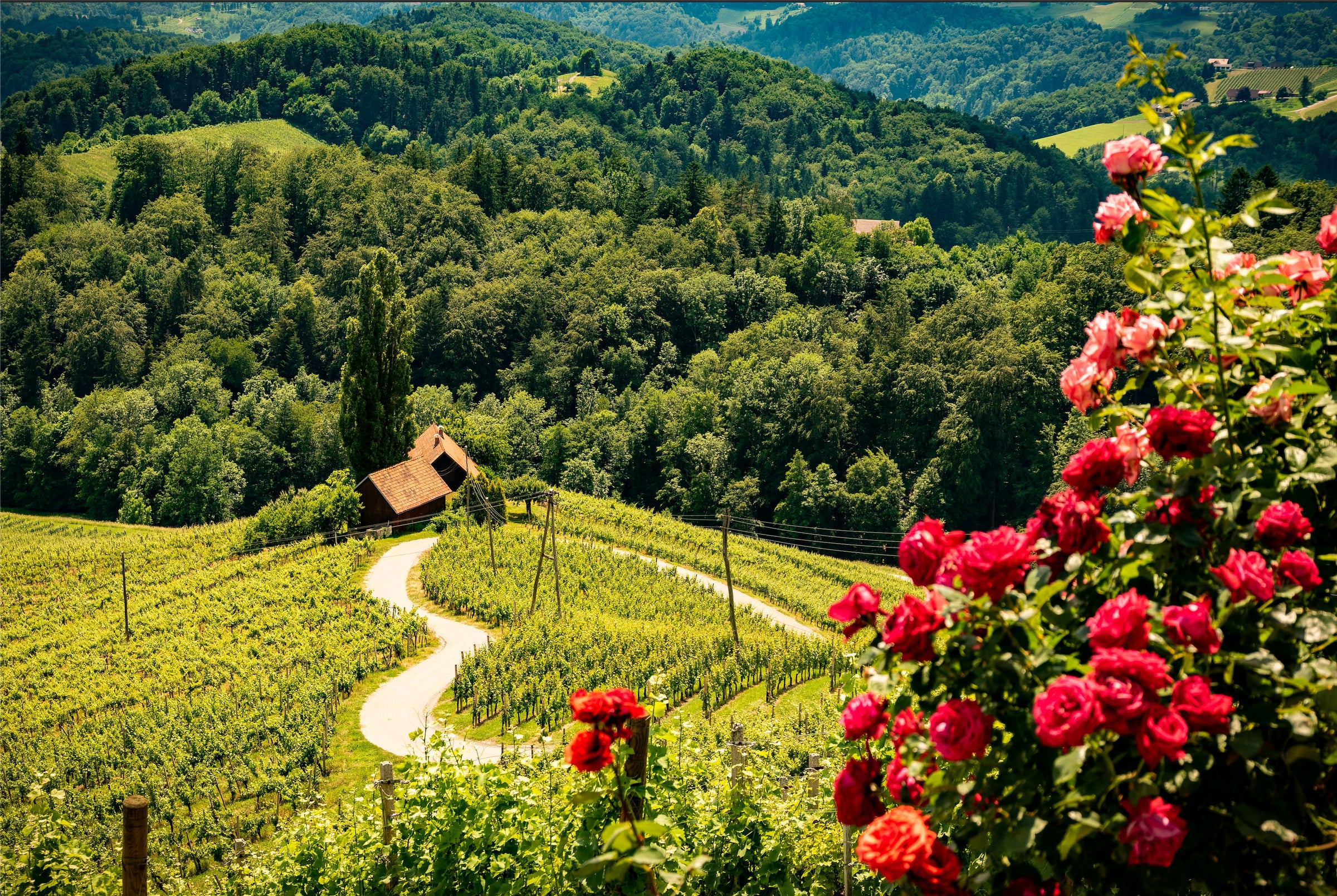 Slovenia - Longevity Travel