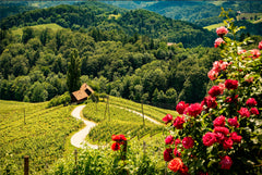 Eslovenia