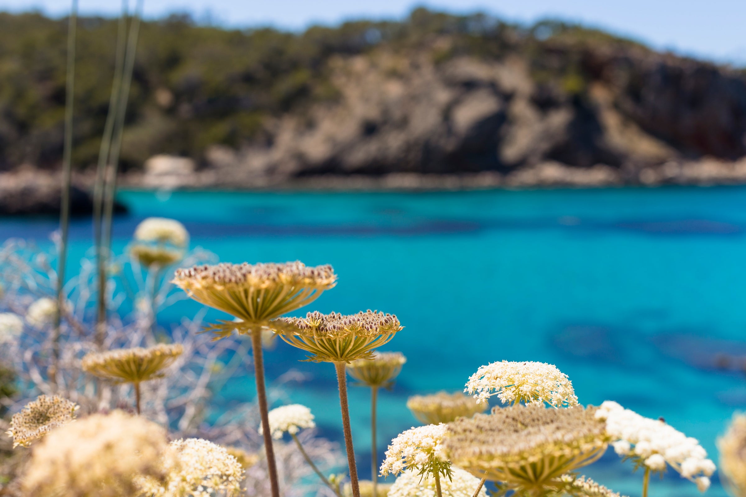 Spain - Longevity Travel