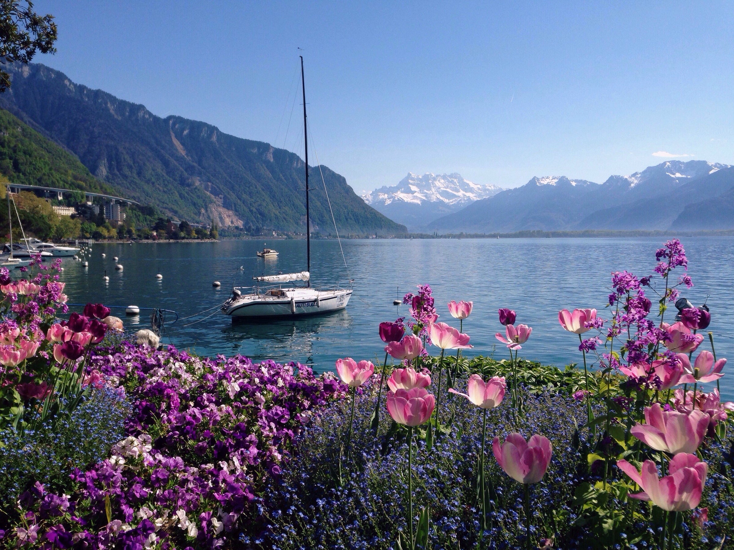 Suisse - Longevity Travel