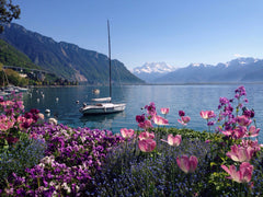 Suiza