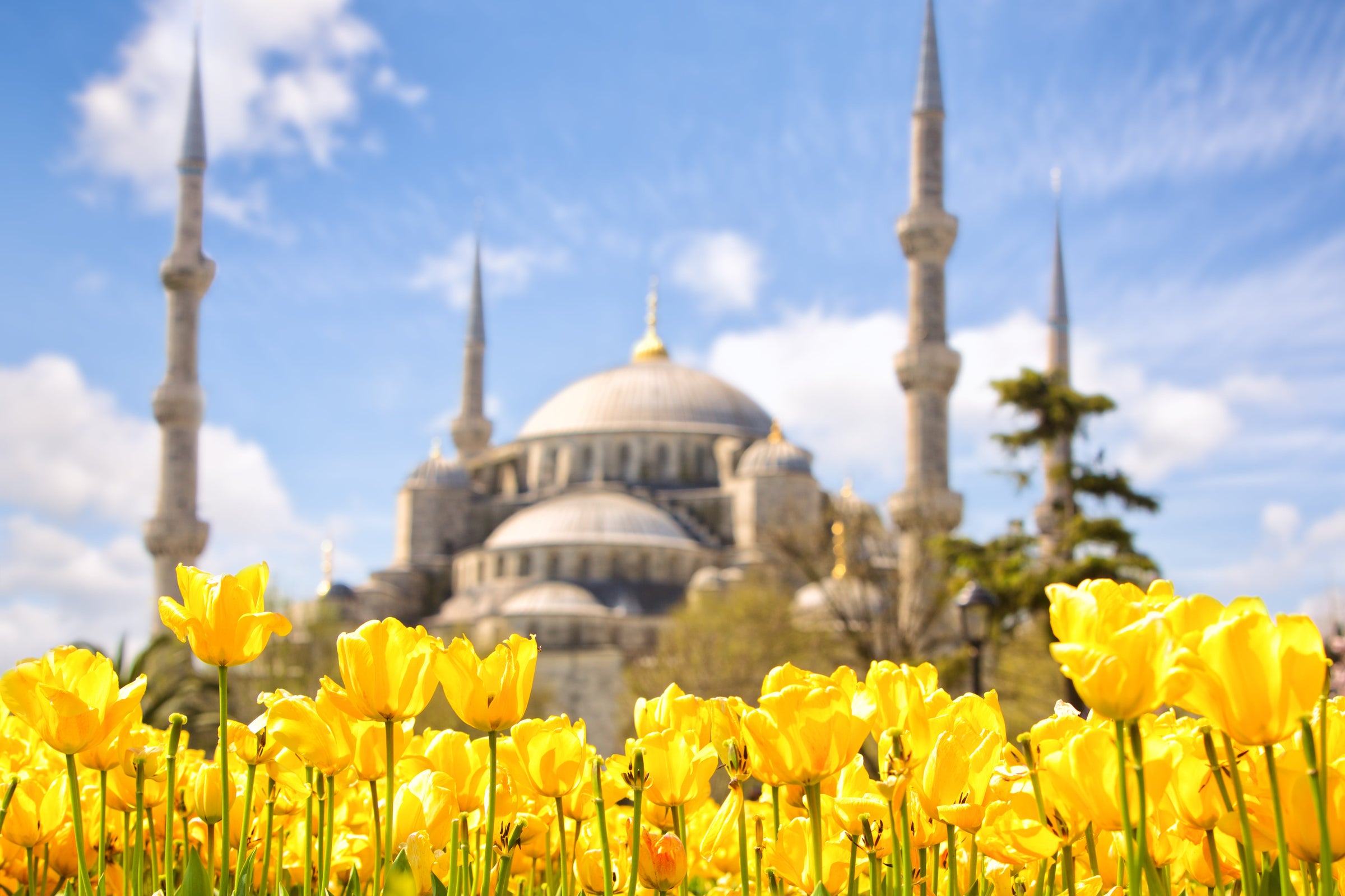 Turkey - Longevity Travel