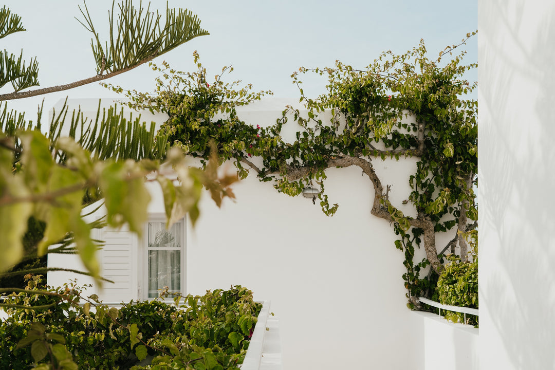 Mr & Mrs White Paros – Suites & More