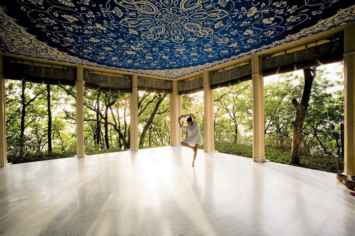 Holistic Yoga
