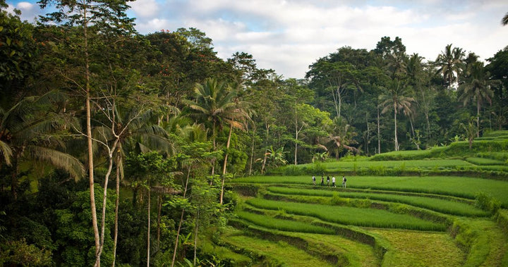 COMO Shambala Estate Bali