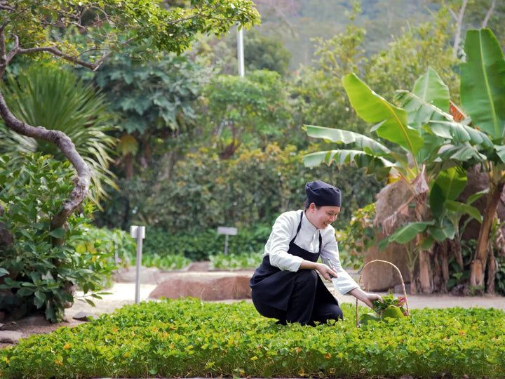 Six Senses Ninh Van Bay 