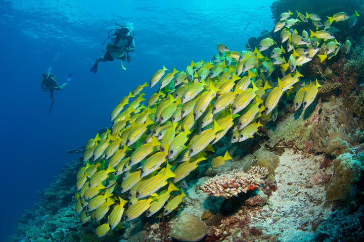 Six Senses Laamu 
