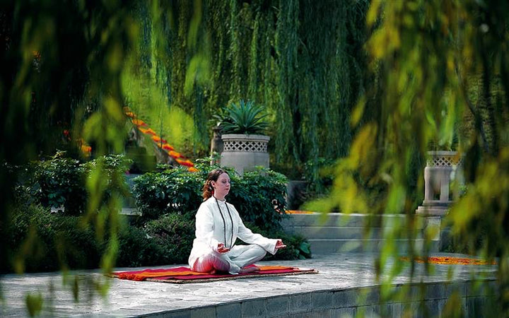 Holistic Yoga