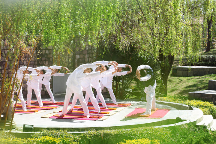 Holistic Yoga