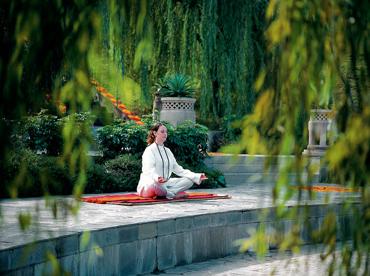 Ayurvedic Rejuvenation and Immunity Booster