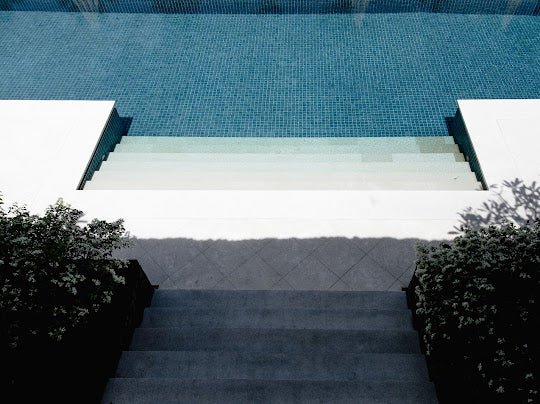 Revivo - Longevity Travel