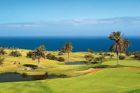 Golf with Professional Mark Trnovec Buenavista