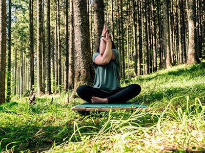 Butični hotel Vila Planinka 